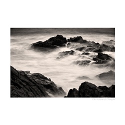 dailyPhoto24